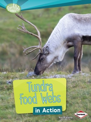 cover image of Tundra Food Webs in Action